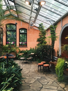 plants inside greenhouse