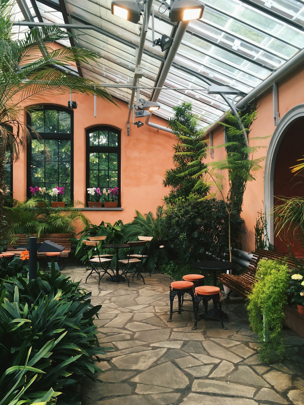 plants inside greenhouse