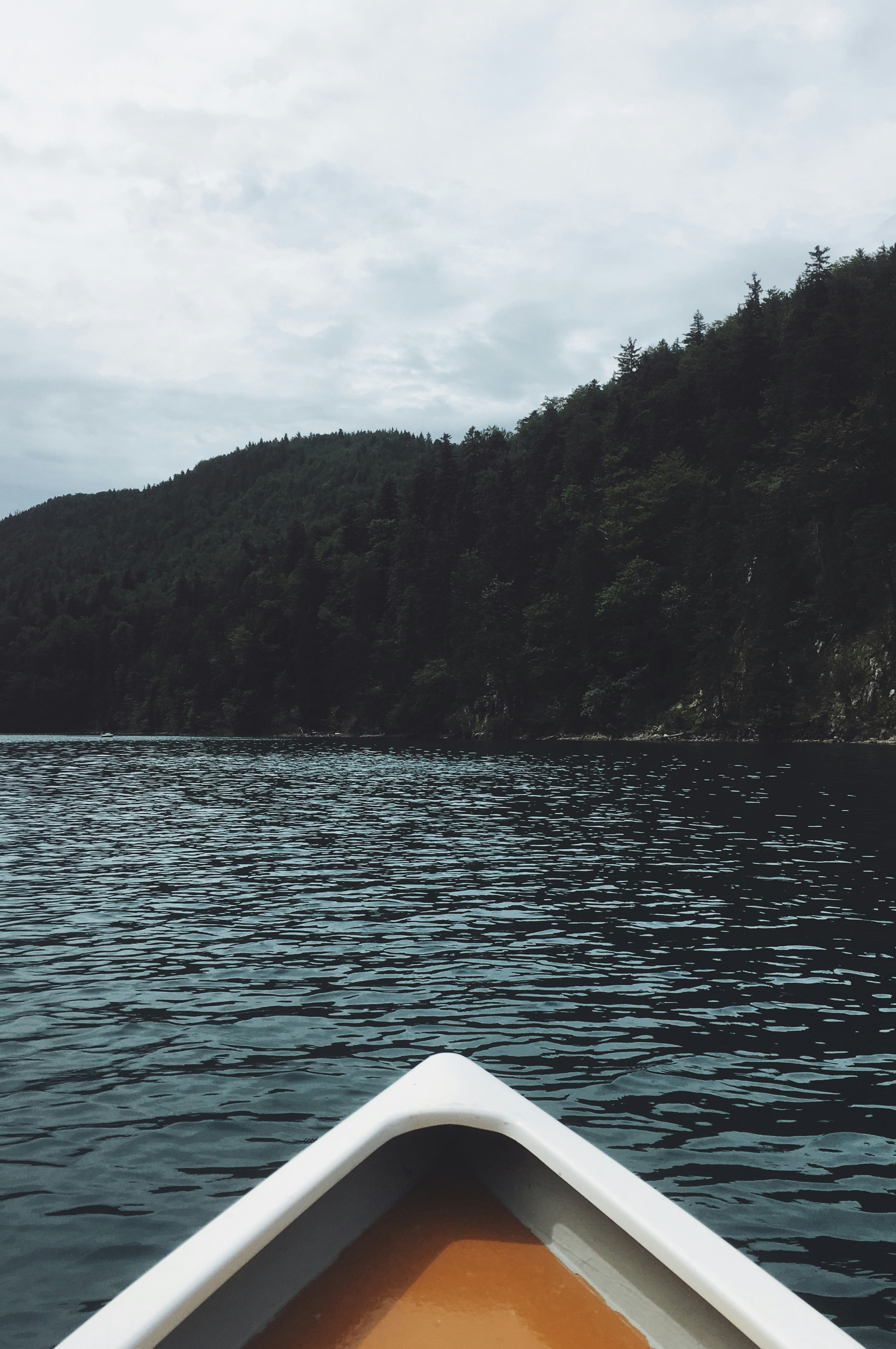 Photo by ellentanner