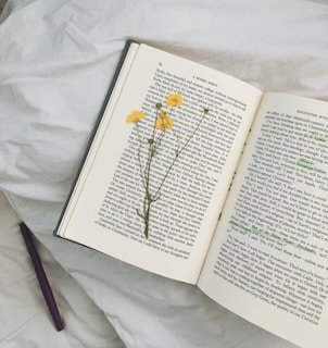 yellow flowers on open book