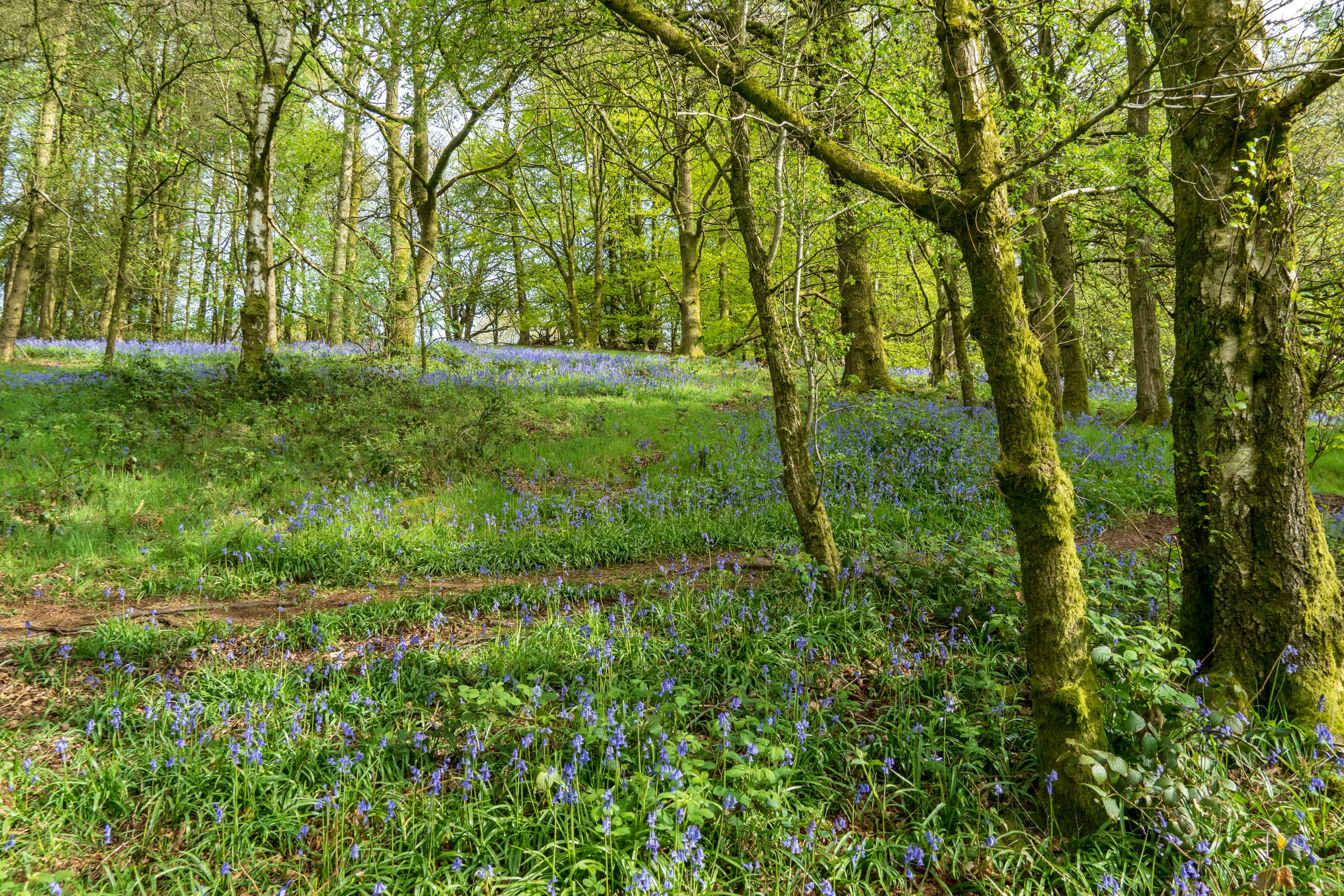 TMS #145: Think Less, Win More