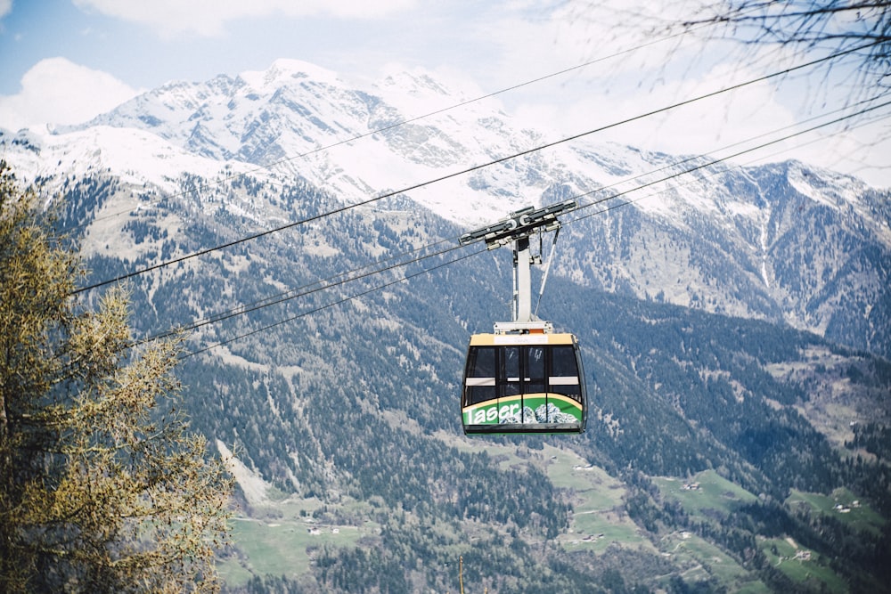 black and green tram near tree