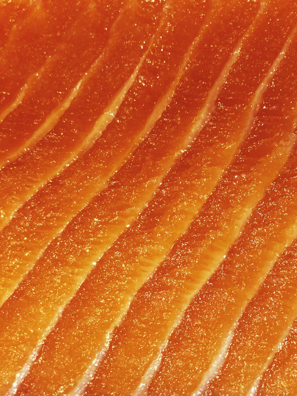 Salmon