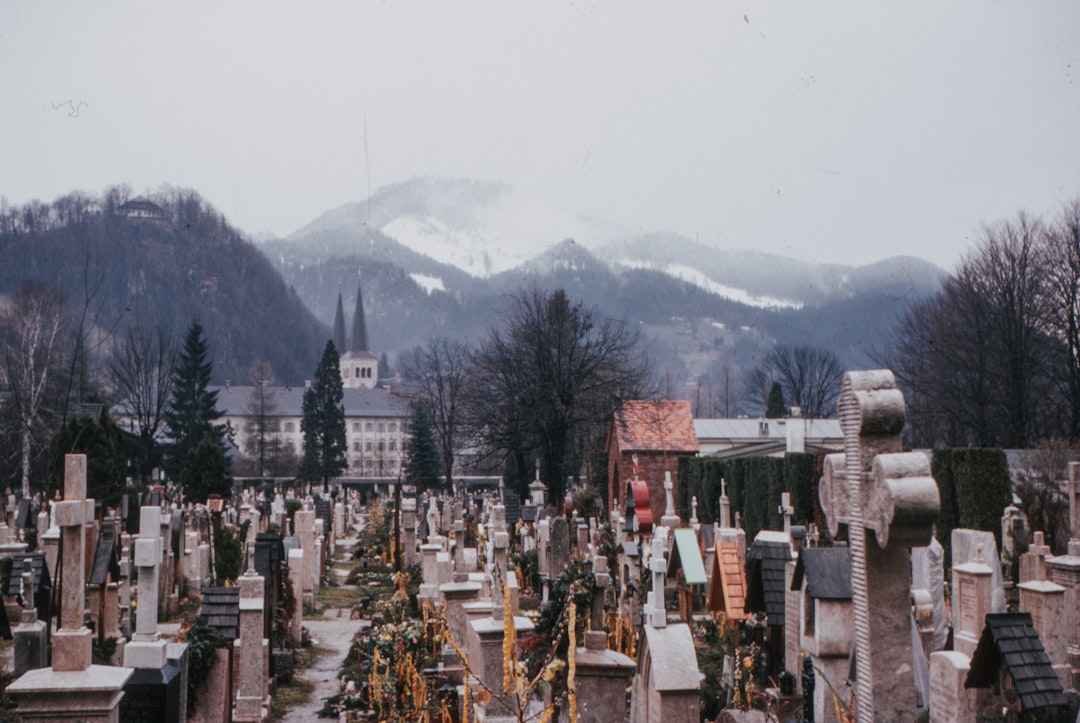 cemetery during daytime