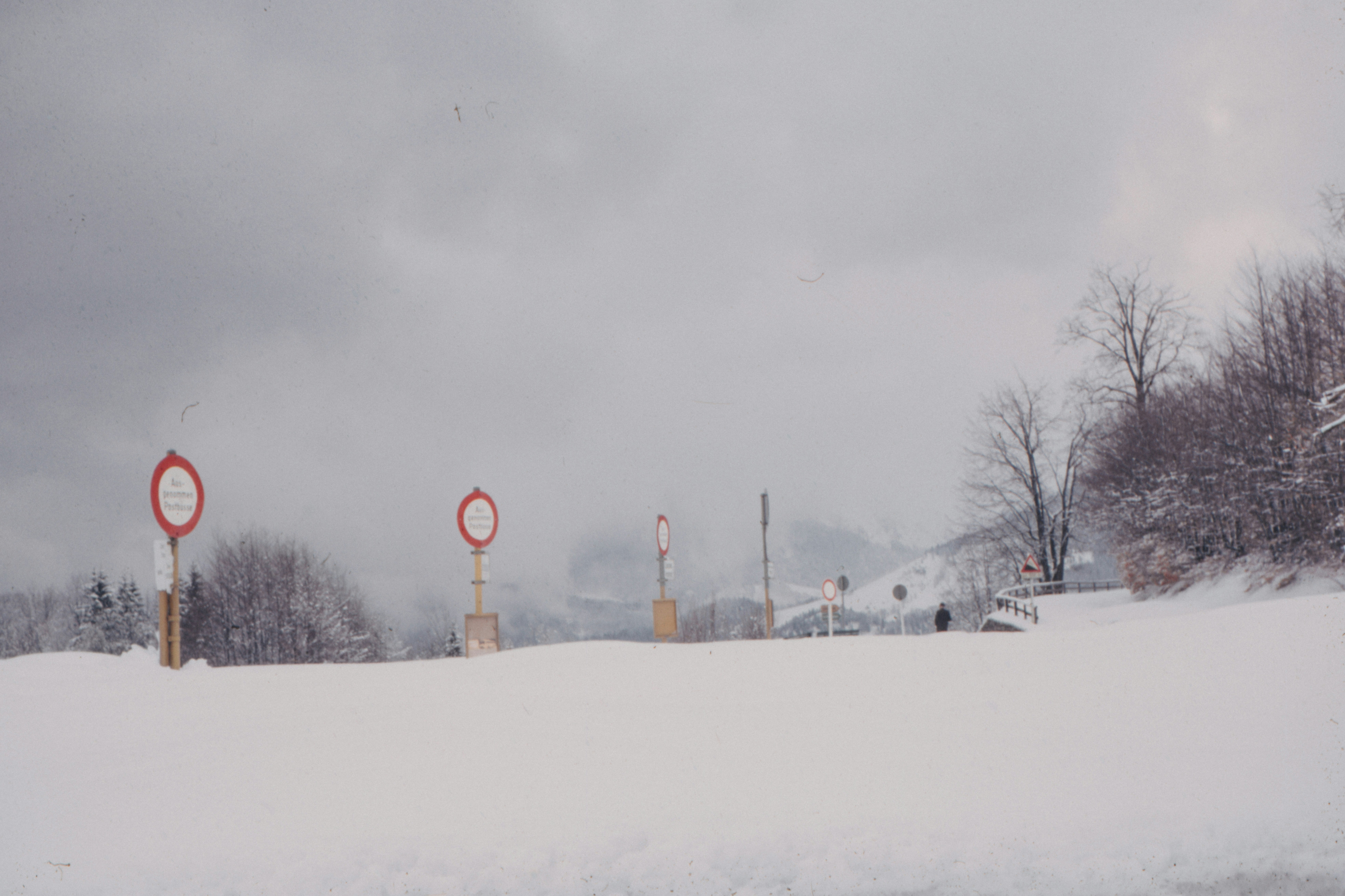 Photo by anniespratt