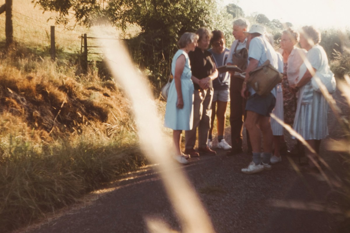 A family of four in workout gear stands on a sunny road, ready for a family fitness challenge.