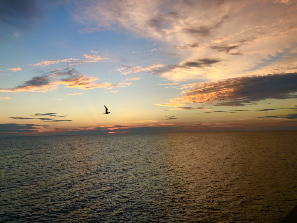 a bird flying over the ocean at sunset