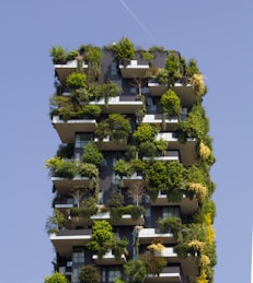 building covered in plants