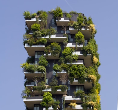 building covered in plants