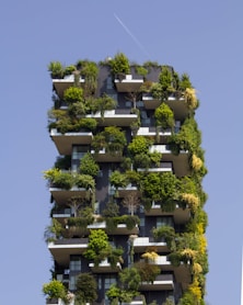 Sustainable construction building covered in plants