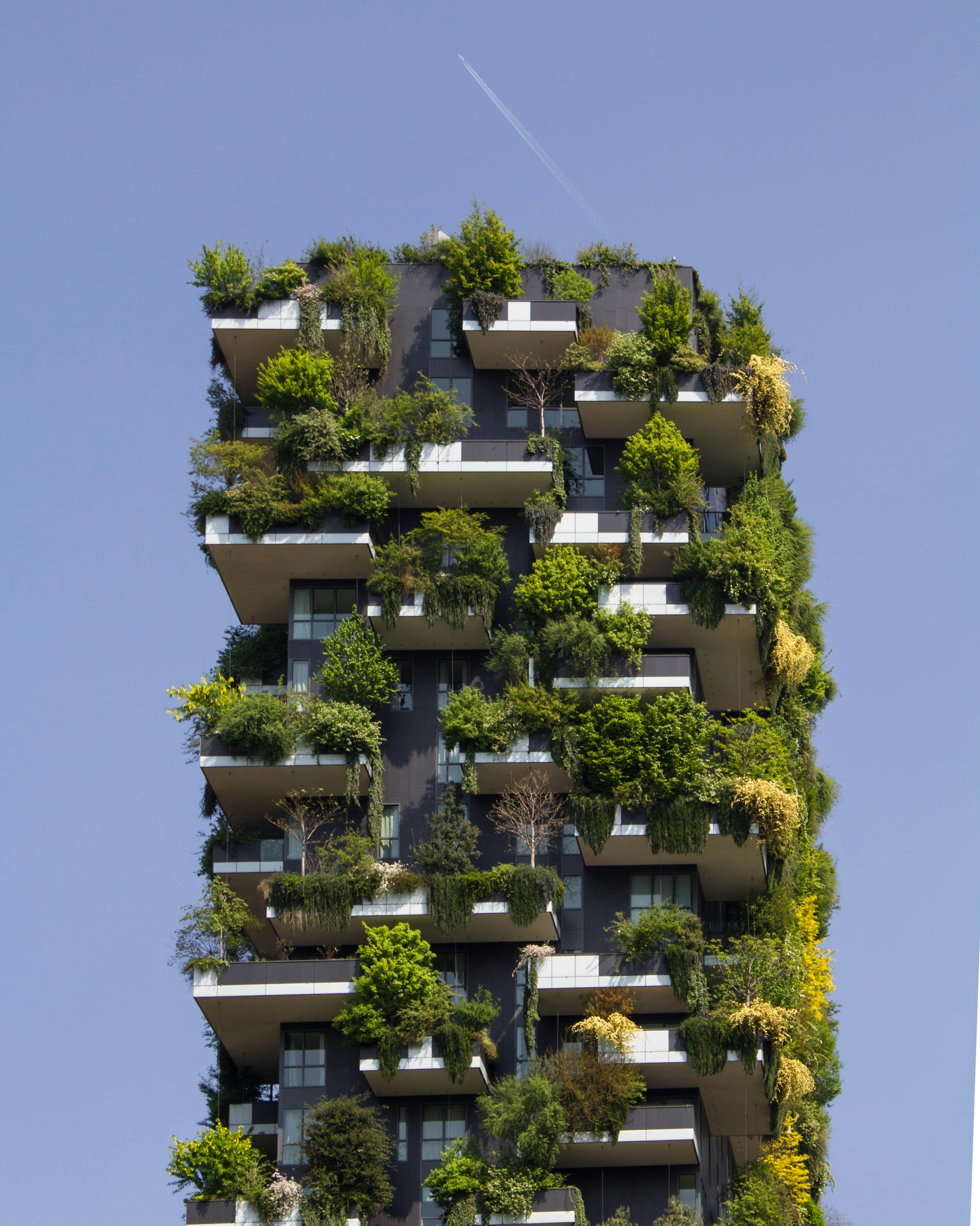 A solarpunk building in Bosco Verticale, Milan