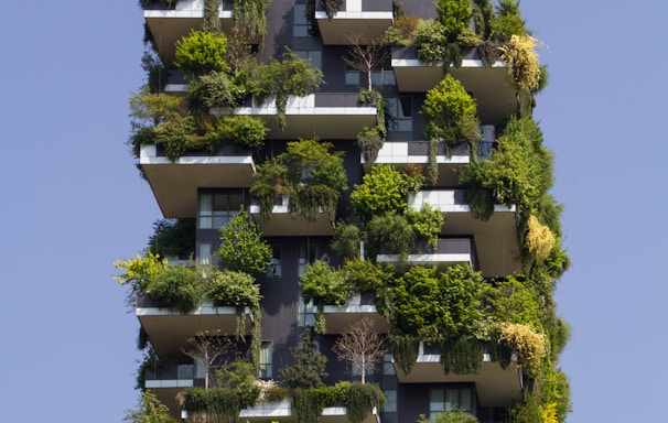 building covered in plants