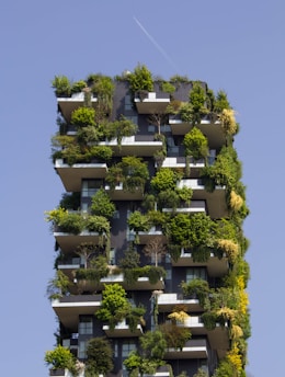 building covered in plants