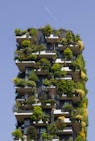 building covered in plants