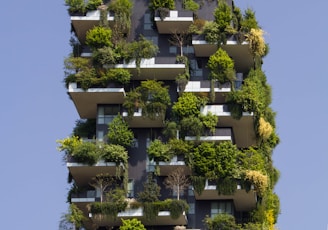 building covered in plants