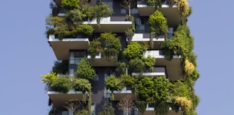 building covered in plants