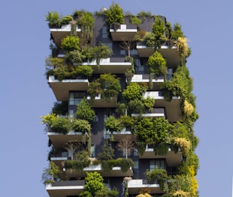 building covered in plants