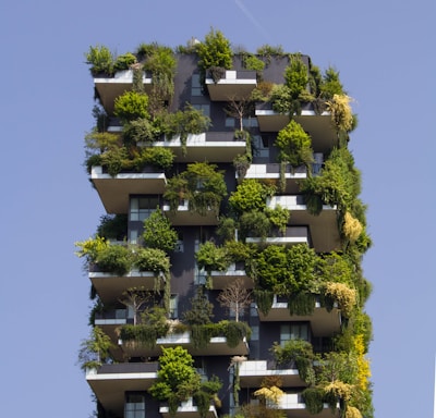 building covered in plants