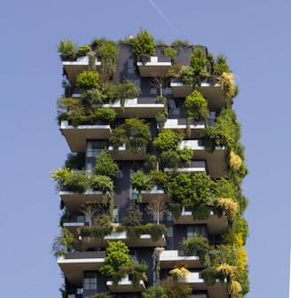 building covered in plants