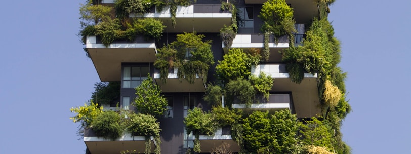 building covered in plants