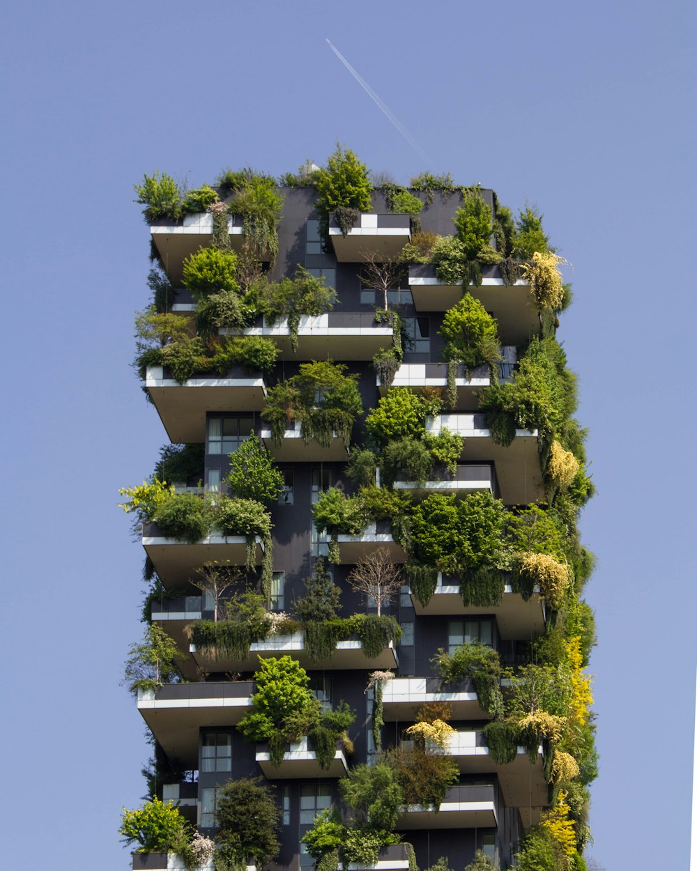 building covered in plants