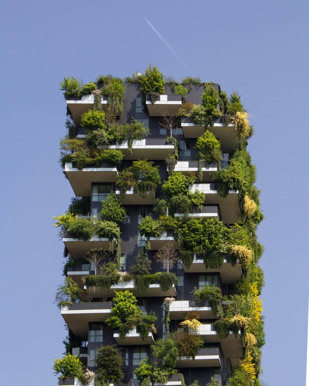 Gebäude mit Pflanzen bedeckt
