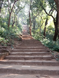A long, stone staircase ascends through a lush, green forest with tall trees and dappled sunlight filtering through the leaves. The path is surrounded by dense vegetation, adding to the serene and natural atmosphere.