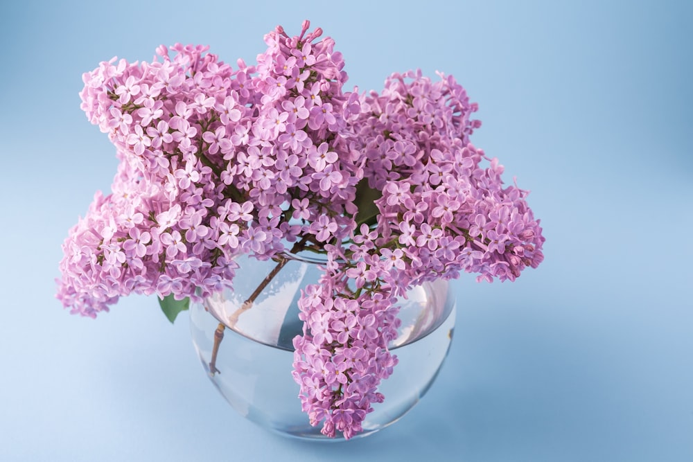 pink flower in clear bowl