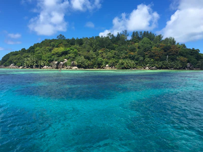 A lush green island in Seychelles with white sandy shores under a clear blue sky.