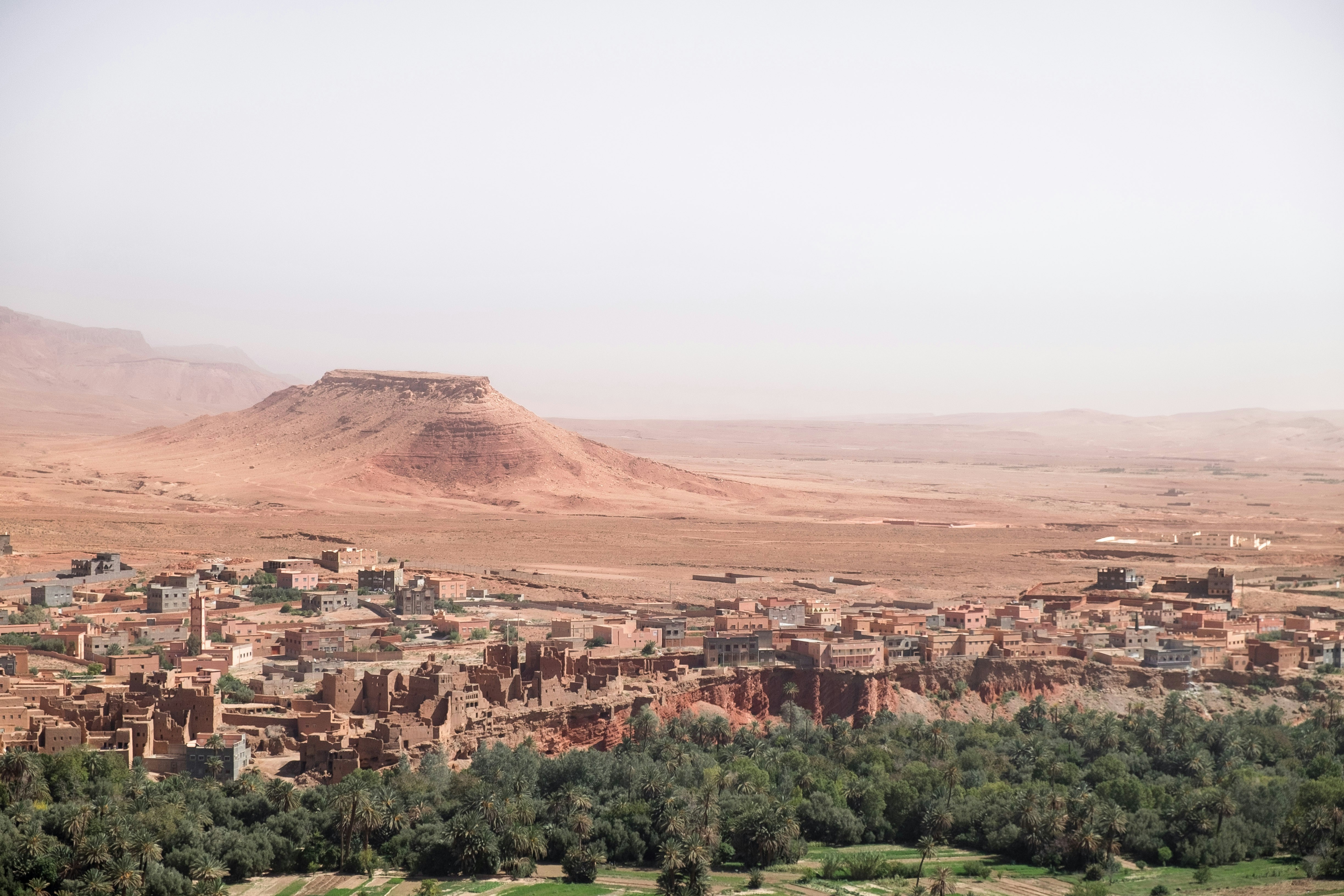Exploring the Rich Biodiversity of Morocco: An Ecological Journey