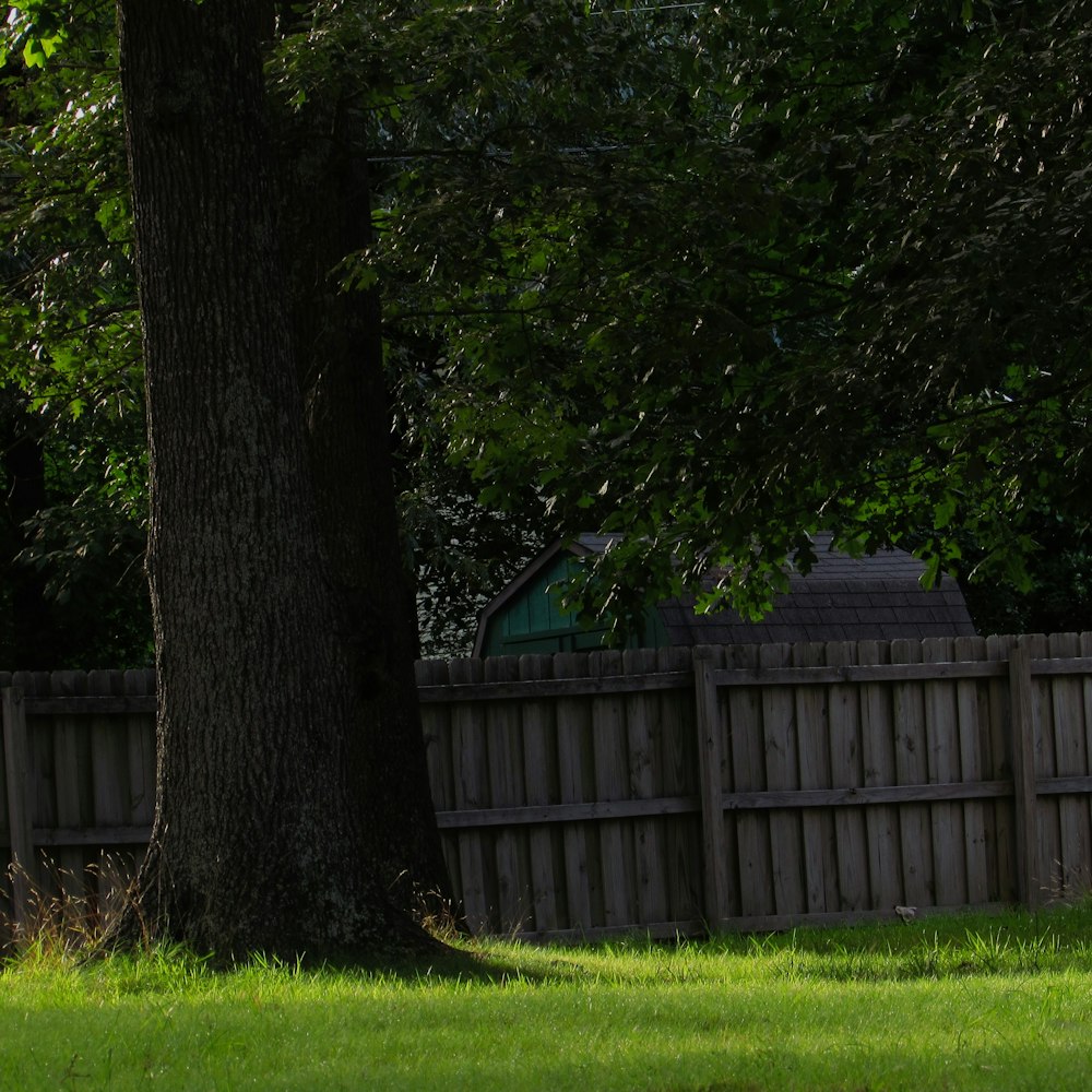 green-leafed trees