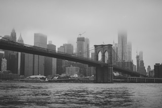 A striking black-and-white photo of a city skyline blending into a misty forest landscape.