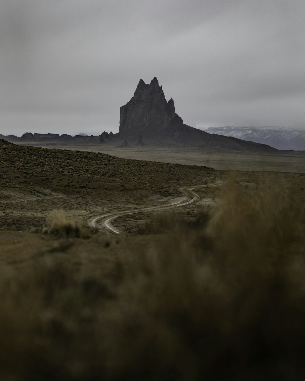 brown field under grey sky