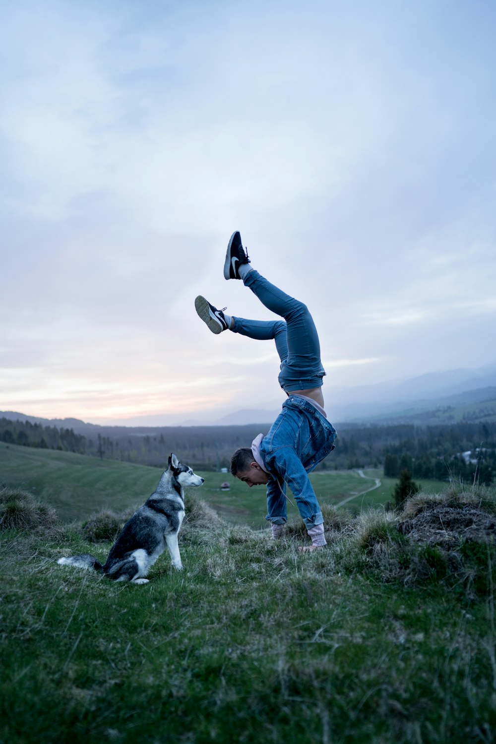 man and siberian husky on grass field