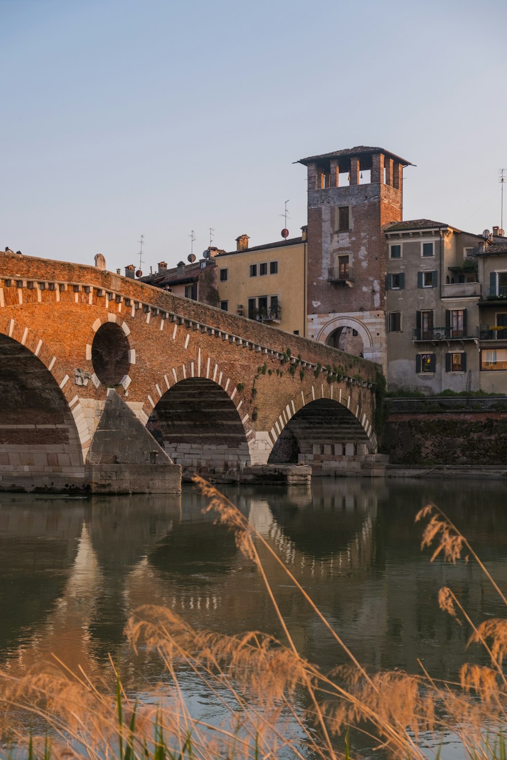 brown concrete bridge