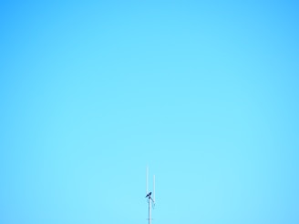 a tall antenna on top of a tall building