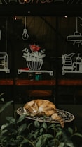 orange cat painting