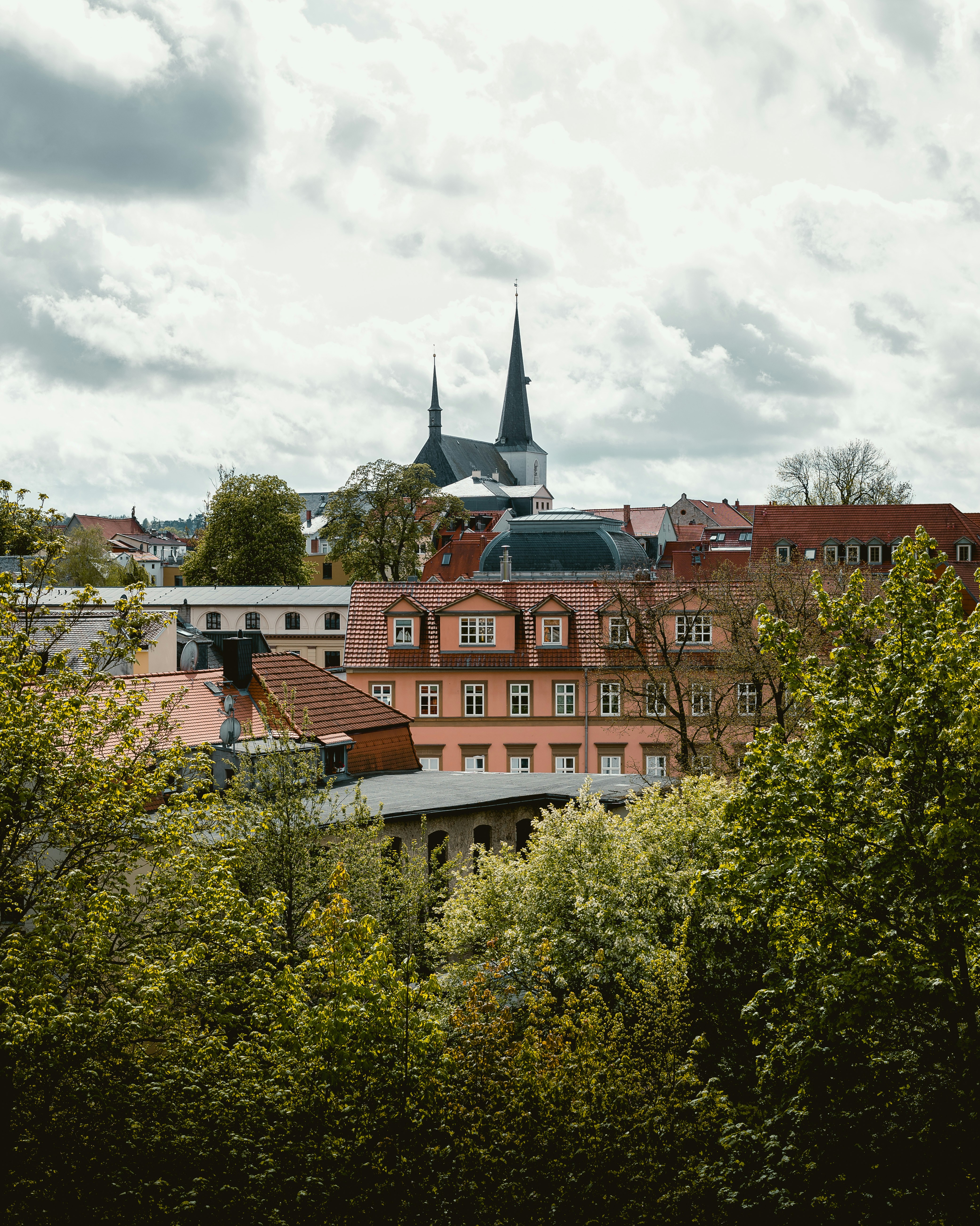 Photo by niklas_hamann