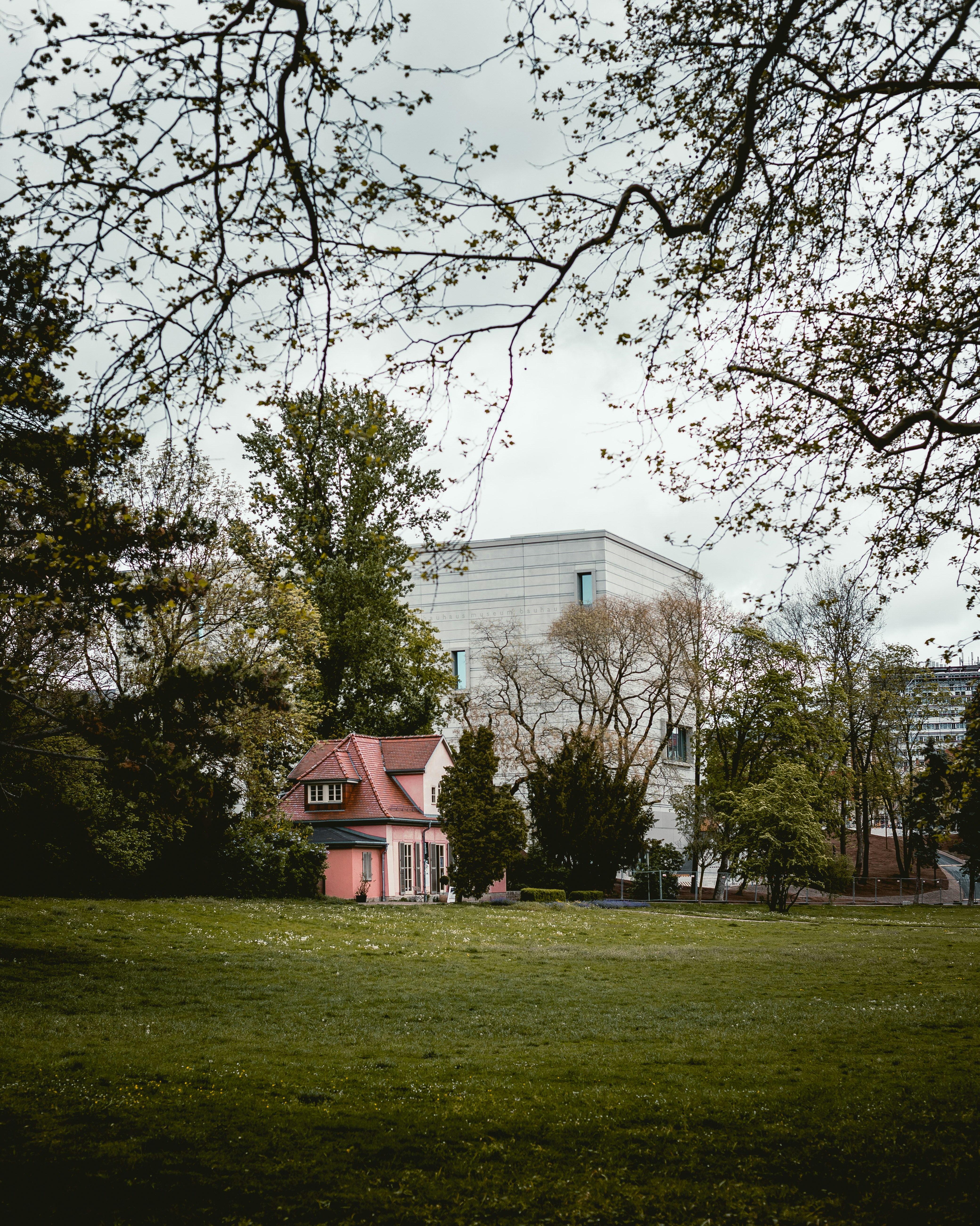 Photo by niklas_hamann