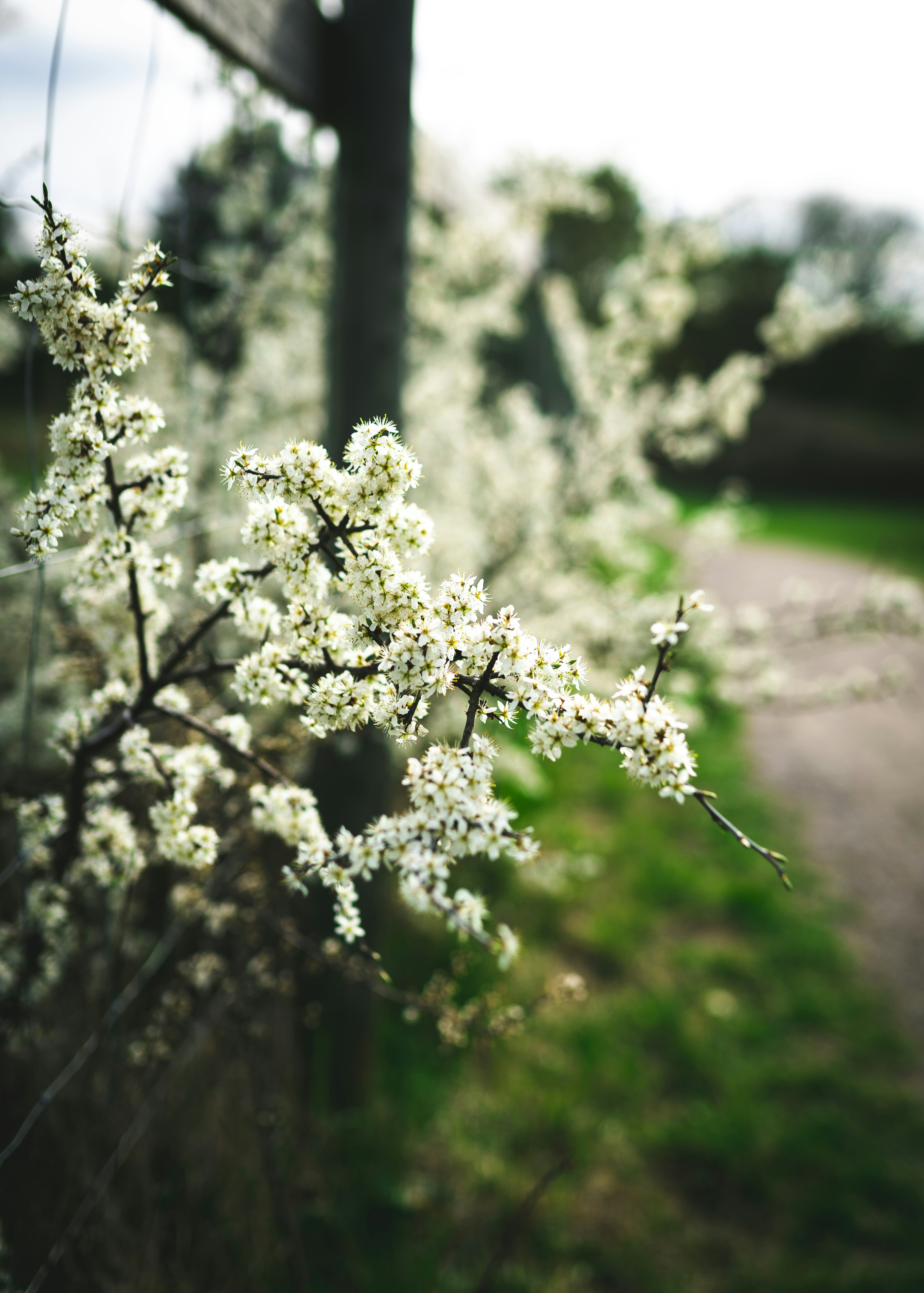 Photo by emilwidlund