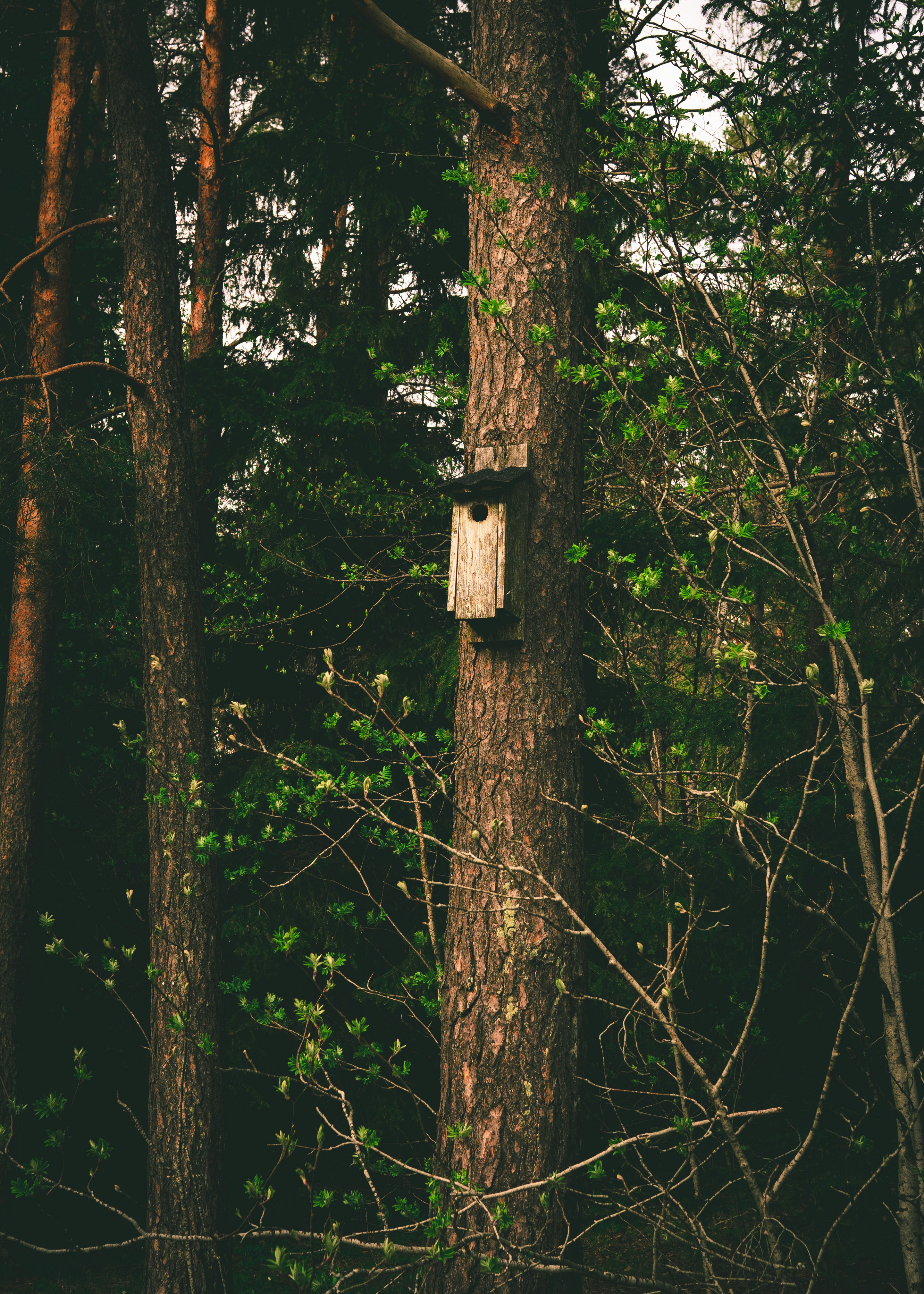 Photo by emilwidlund