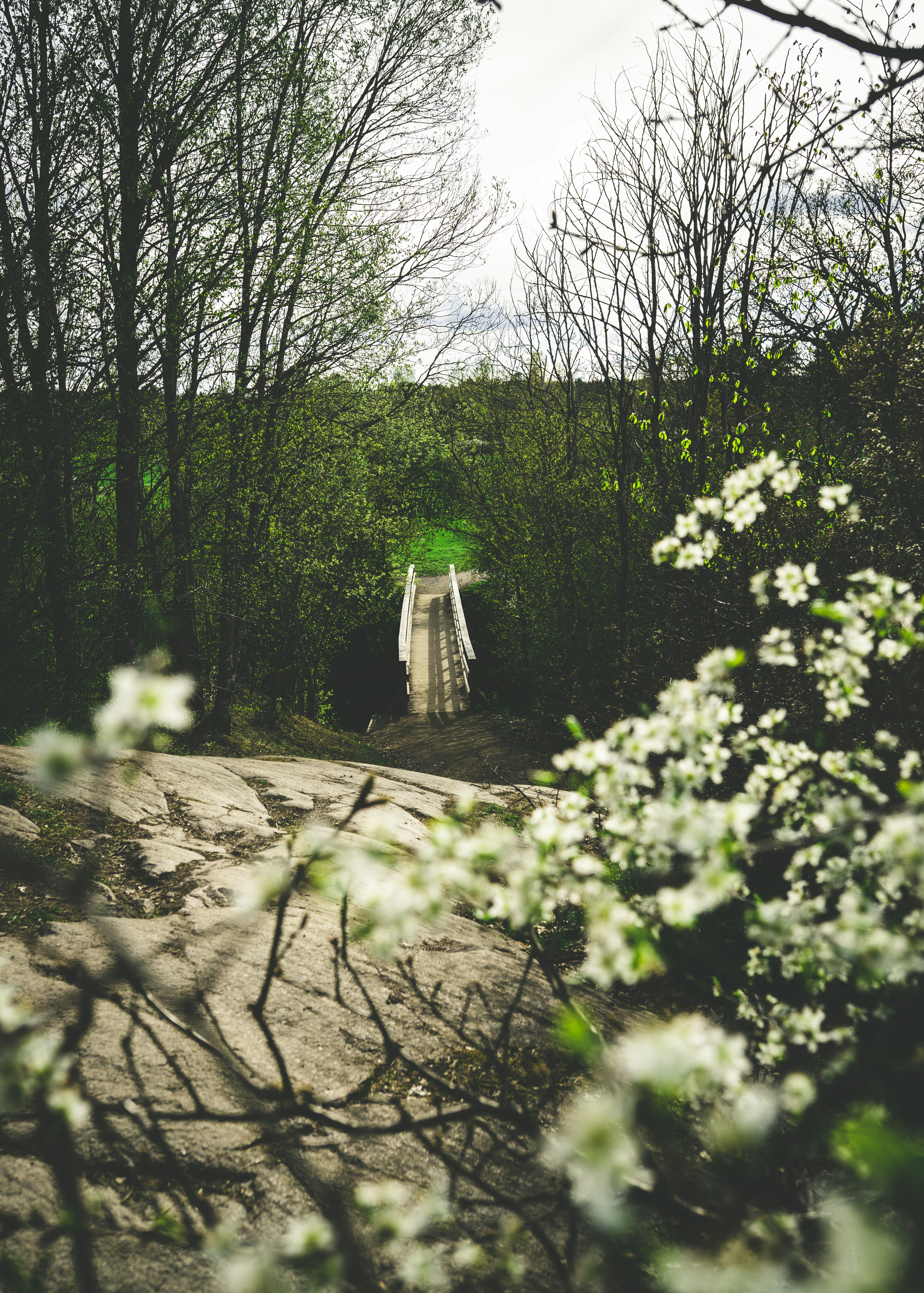 Photo by emilwidlund