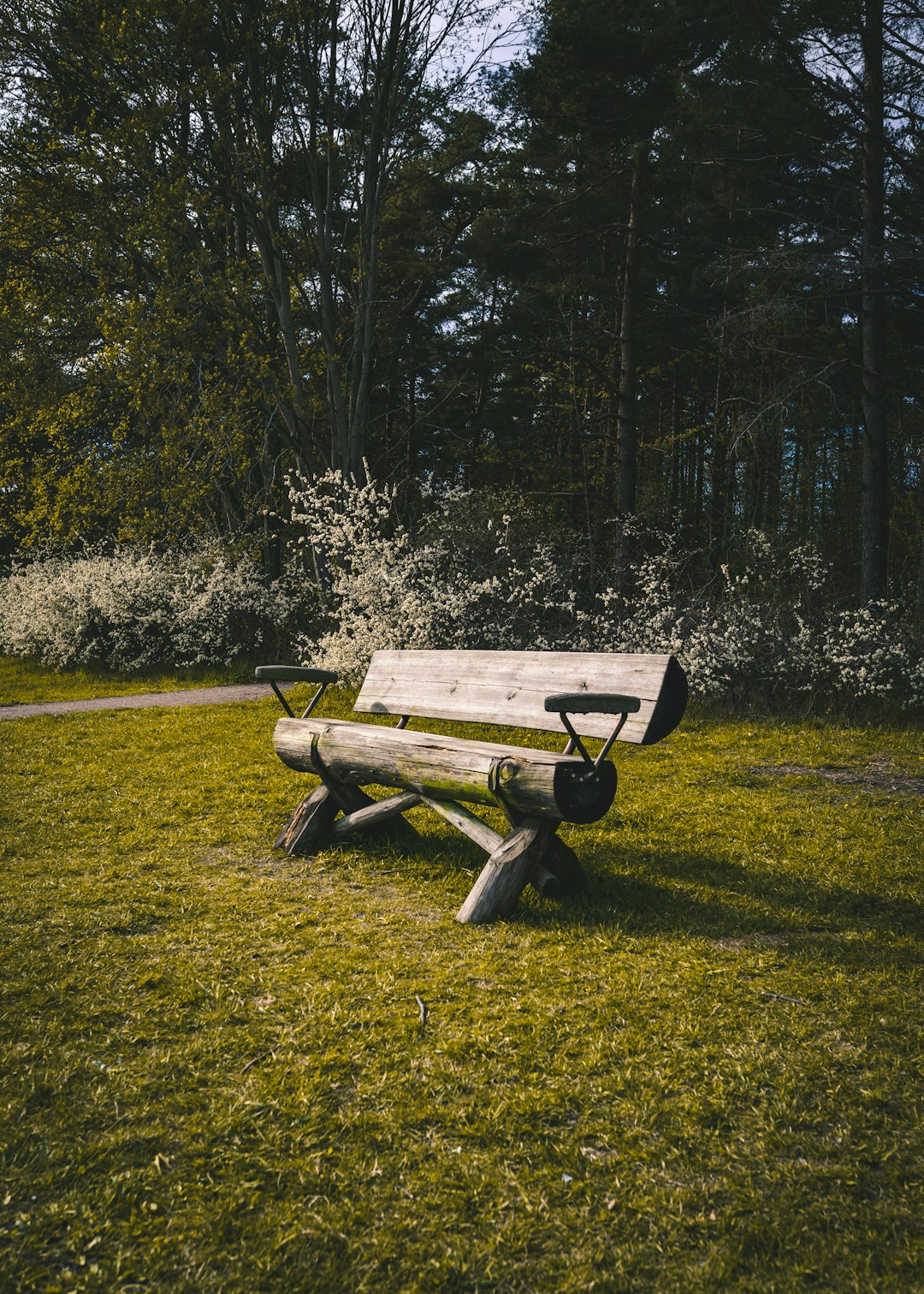 brown wooden bench on green field