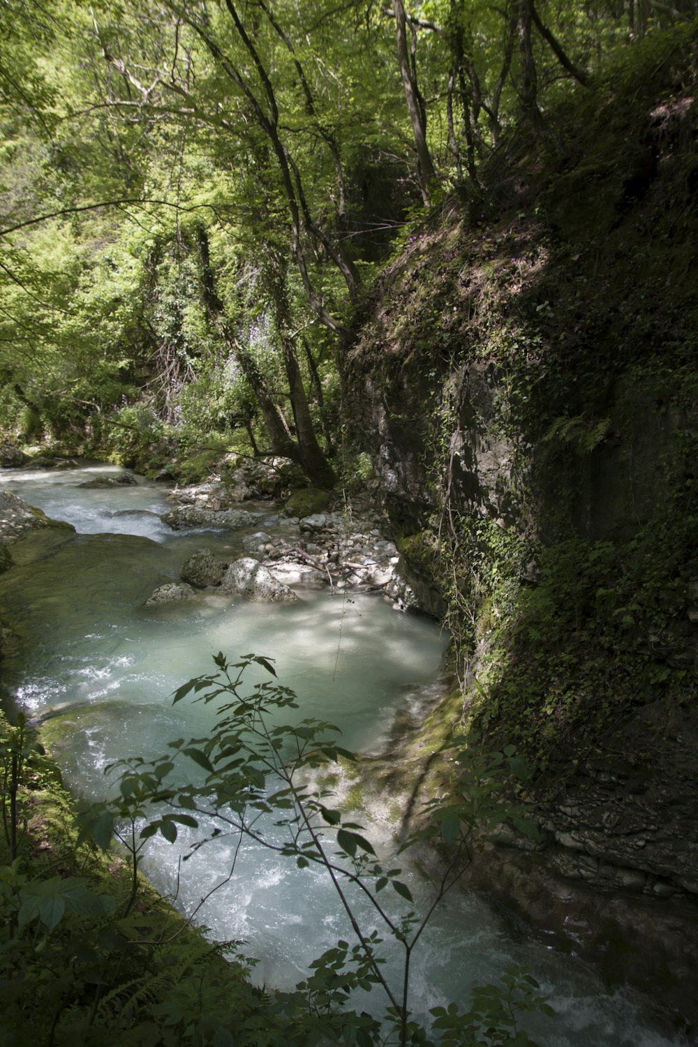 body of water during daytime close-up photography