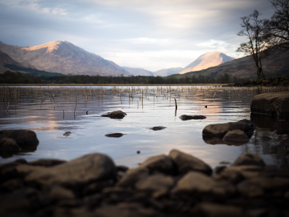 rocks and body of water during day