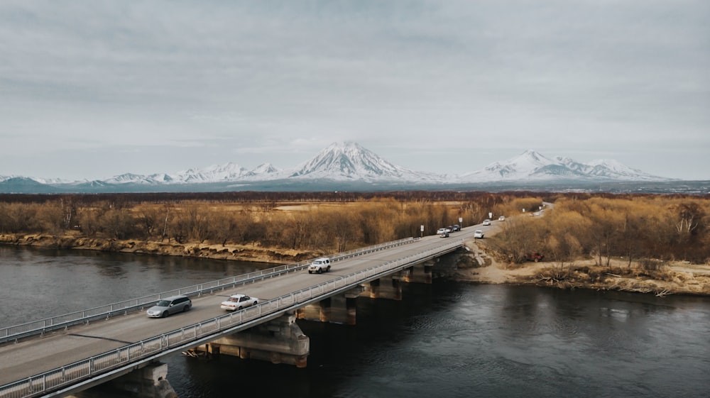 vehicles on bridge during day