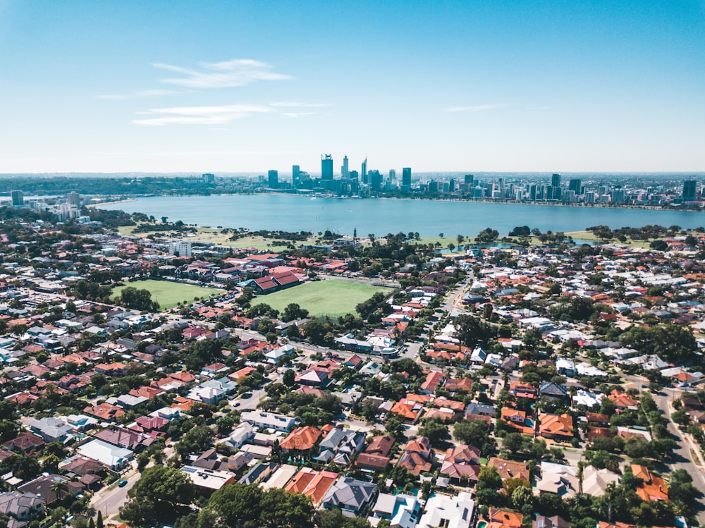 cityscape suring daytime