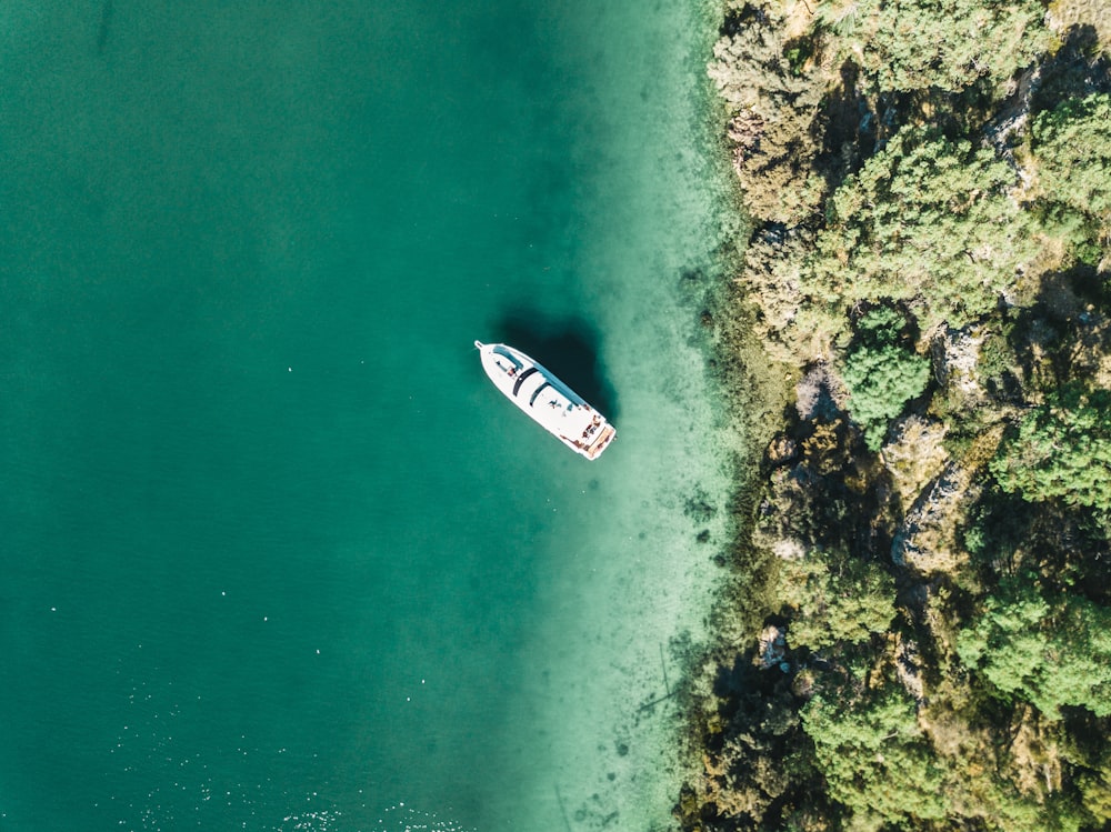 white yacht on body of water