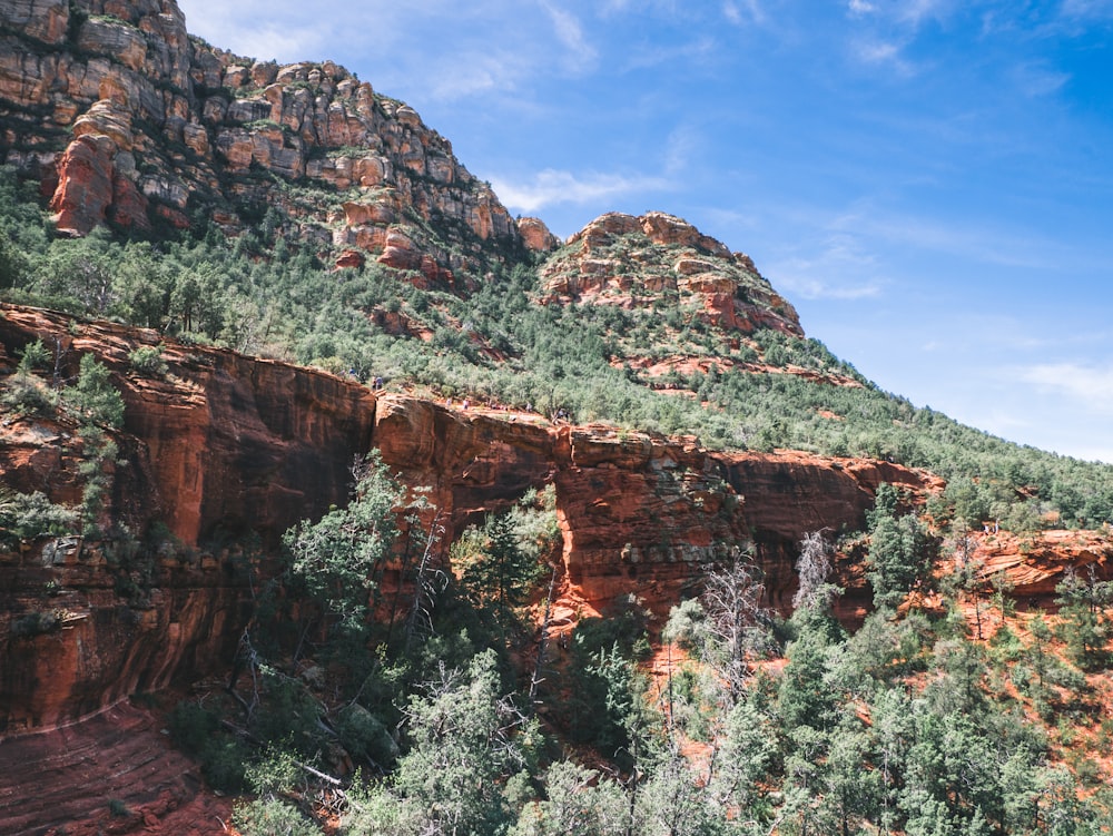 brown and green rock mountain