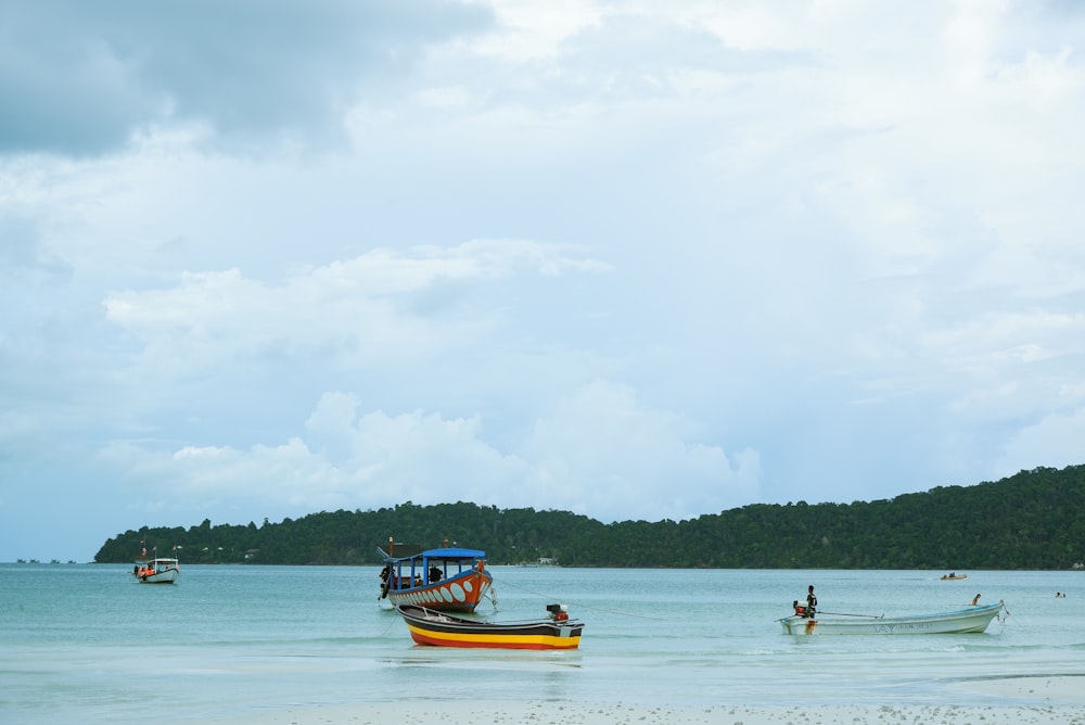 sailing boats near shore